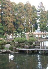 都農神社の境内の池