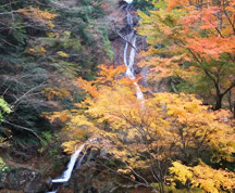約１１キロ奥にある常光寺の滝