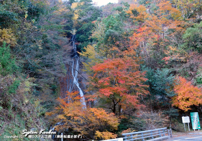 高千穂の隠れた紅葉の名所「常光寺の滝」の紅葉