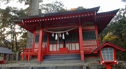 十根川神社の境内にはイチイガシやトチノキなどの巨木がある