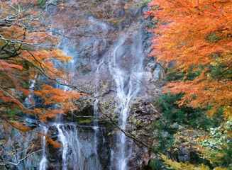 滝と左右の紅葉