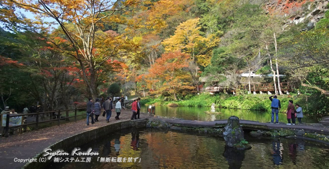 高千穂神社大祭で神面隊がみそぎをする「おのころ池」