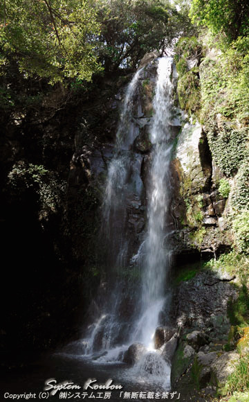 落差２０ｍ、岩で２条に分かれて男滝、女滝と言われている