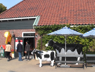 オランダ民俗資料館の外に牛がいた