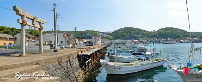 勝本漁港と漁船。※なんでもこの港に登録されている漁船は約５００隻だそうだ。たぶん九州で一番多い