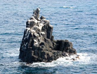 みごとな玄武岩の柱状節理の岩礁