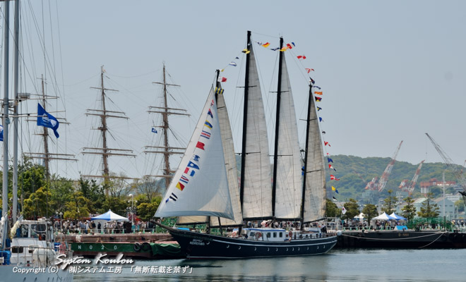 韓国の帆船「コリアナ」（41m）