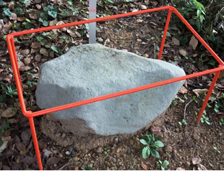 右側のクスノキから取り出された石（原子爆弾の爆風で木の中にめり込んだと思われる）