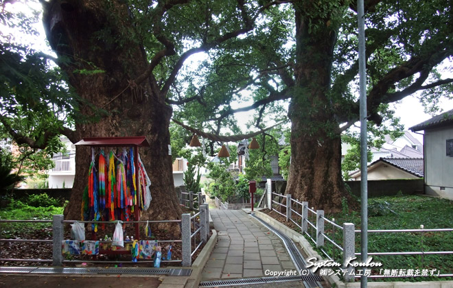 境内を通る風で起こるその葉音も1996年（平成8年）に「山王神社被爆の楠の木」として環境省の「日本の音風景100選」に選ばれている
