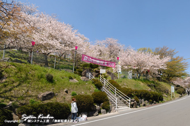 立山公園には、およそ700本のソメイヨシノや山桜があり春には、おおぜいの花見客で賑わいます
