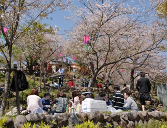 桜の開花時期には多くの花見客で賑わう