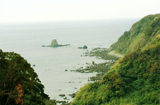 大立神岩と灯台（権現山展望公園の南側下の海岸）