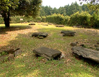 農村公園の中にある原山第三支石墓群