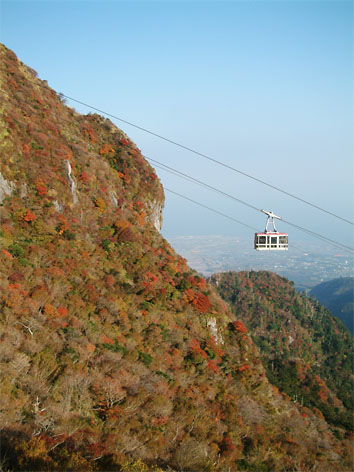 仁田峠の妙見岳は紅葉とミヤマキリシマの名所である