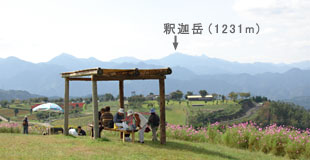 津江山系の主峰 釈迦岳（標高約1231m）も見える