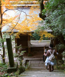 文殊仙寺（文珠仙寺）の紅葉のきれいな山門