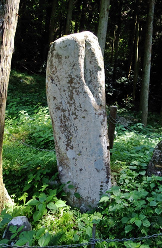 林の中にある石柱