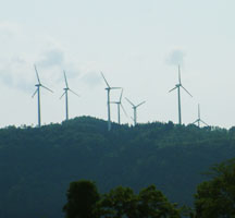 風力発電の風車群がよく見える