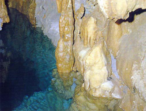 太古の水が今も流れる地底の神秘。日本でもめずらしい水中鍾乳洞