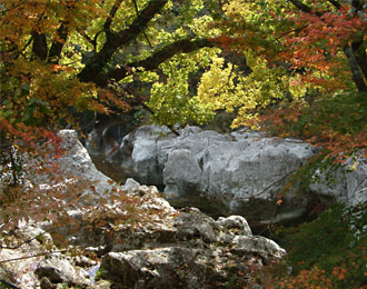 岩と紅葉が絵になる猿飛甌穴群