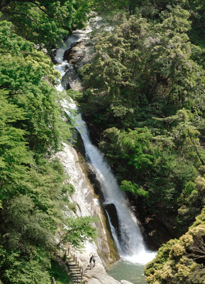 「日本の滝百選」に選ばれている豪快な「観音の滝」