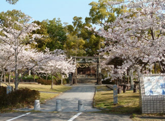 桜が咲く与止日女神社（よどひめじんじゃ）