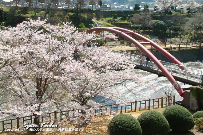 轟の滝公園には桜並木があり桜の名所でもある