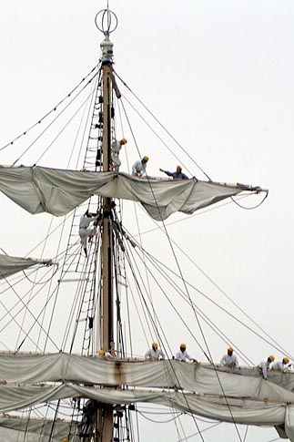 「帆船日本丸」の帆をたたむ乗組員
