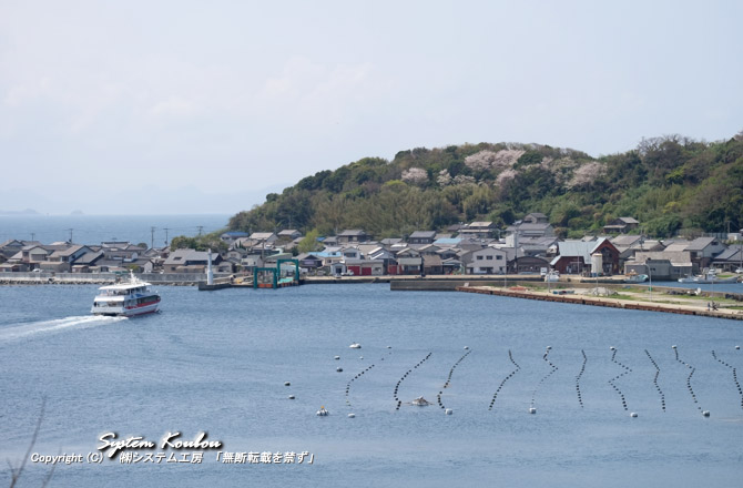 連絡船（町営渡船しんぐう）が到着した相島漁港