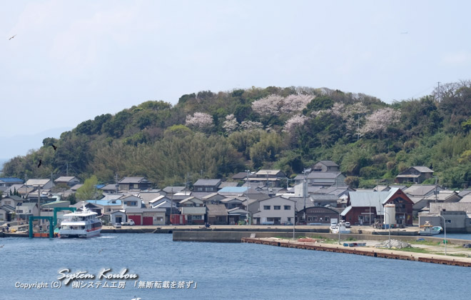 相島漁港周辺の街並み