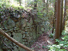 江戸時代に鹿から畑を守るために造られた鹿垣