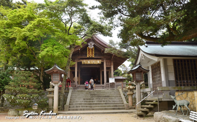 志賀海神社（しかうみじんじゃ）の社殿、右は鹿の角が納められている鹿角堂（ろっかくどう）
