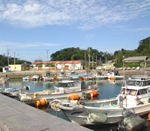 馬島漁港（約１１隻の漁船がいた）