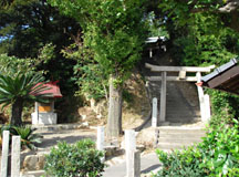 島で唯一の社寺、大山祇神社