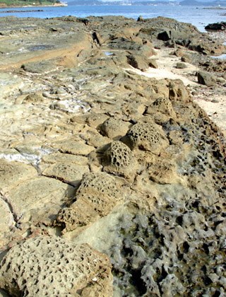 馬島の海岸一帯には溶岩が急速に固まった痕跡が残っている