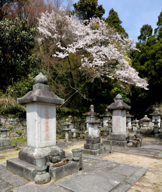 この写真の左から２番目が初代藩主「長興」の墓
