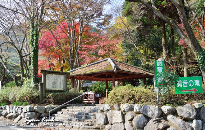 「調音の滝」入口。紅葉がきれい！　 ※ 2013/11/16 撮影