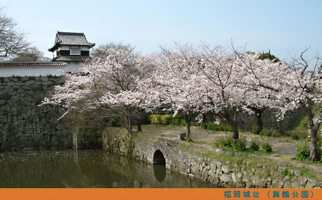 福岡城址（舞鶴公園）の桜