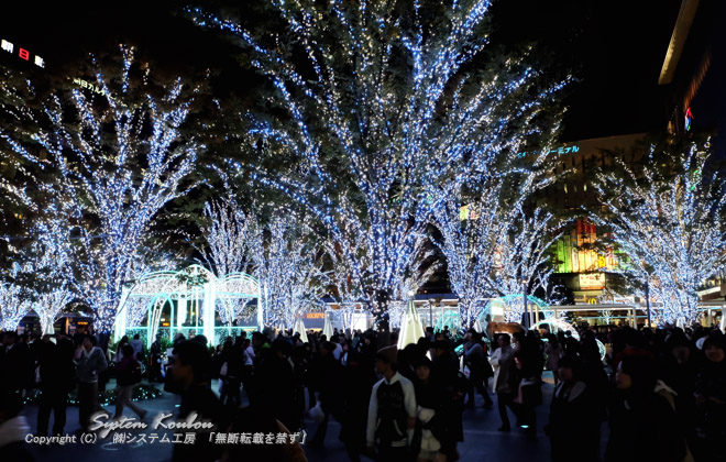 駅前広場の約５０本の樹木に飾り付けられたイルミネーションは光の森のようでした
