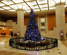 ホテル日航福岡のクリスマスツリー