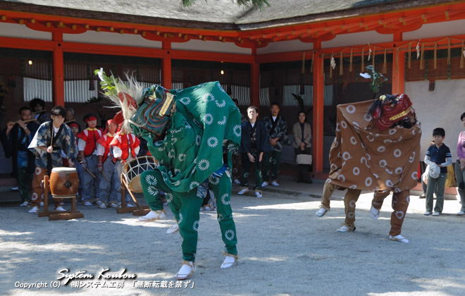 【10:40〜 頃】 毎年１０月中旬に開催される香椎宮秋季氏子大祭は獅子楽（獅子舞）から始まる
