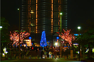 福岡タワー前のクリスマスイルミネーション