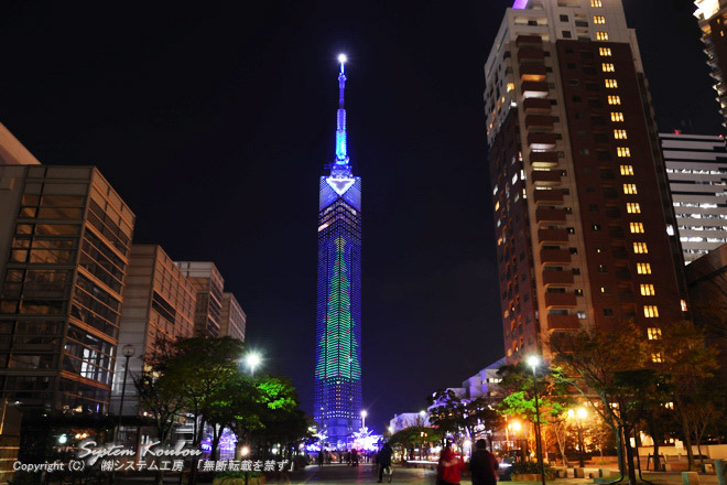 全長234メートルの福岡タワー壁面の巨大なクリスマスツリーイルミネーションも点灯