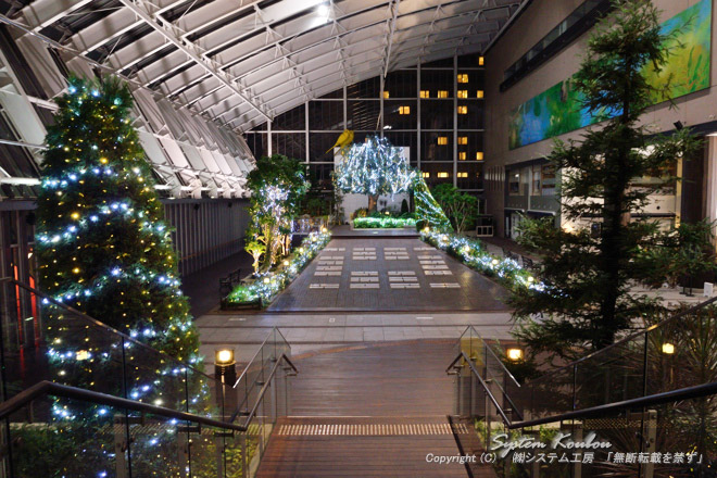 アトリウム・ガーデンの樹木もクリスマスツリー仕様に　　館内にも星が降ってほしいなぁ