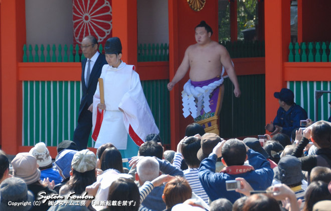 住吉神社での「横綱奉納土俵入り」の披露は１１月第一土曜日頃に行われる