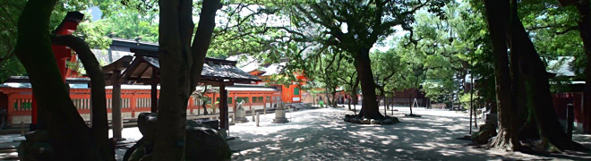 楠木などが数本ある住吉神社の境内