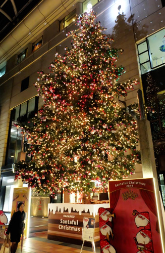昨年と同じ「もみの木」のクリスマスツリー