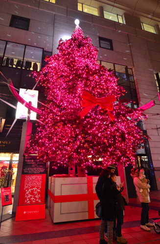 高さ10m以上ある「もみの木」のクリスマスツリー