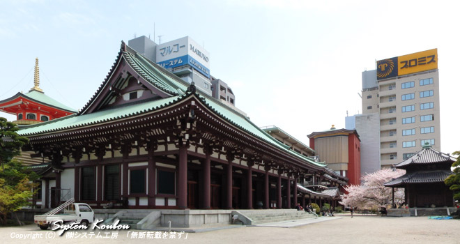 都心の博多駅近くにあり堂々たる建物が並ぶ東長寺