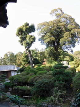 裏にある高祖山を借景にした築山式の庭園